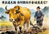 老黄牛耕出通天路，为何锲而不舍的谜底是它？