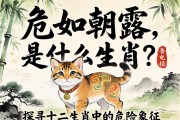 危如朝露是什么生肖？探寻十二生肖中的危险象征