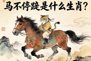 马不停蹄是什么生肖?