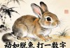 动如脱兔打一数字