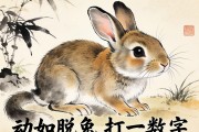 动如脱兔打一数字