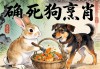 兔死狗烹打一正确生肖