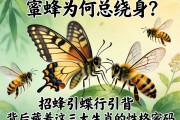 蜂蝶为何总绕身？招蜂引蝶背后藏着这三大生肖的性格密码