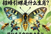 招蜂引蝶是什么生肖？揭秘生肖中的魅力象征