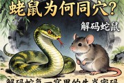 蛇鼠为何同穴？解码蛇鼠一窝里的生肖密码