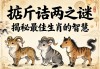 掂斤估两之谜，揭秘最佳生肖的智慧