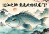 过江之鲫，竟是此物跃龙门？