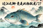 过江之鲫，竟是此物跃龙门？