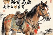 鞍前马后是什么生肖