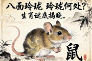 八面玲珑，玲珑何处？生肖谜底揭晓，鼠