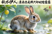 秋水伊人，原来你是那只卯时踏露的兔