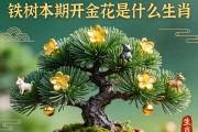 铁树本期开金花是什么生肖