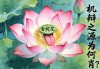 舌绽莲花的灵物，机辩之源为何肖？