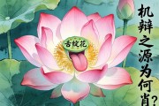 舌绽莲花的灵物，机辩之源为何肖？
