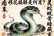移花接木是何肖？灵蛇蜕骨暗藏玄