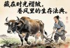 与牛同耕，藏在时光褶皱里的生存法典