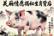 一厢情愿，揭秘生肖猪背后的情感寓言