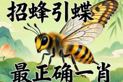 招蜂引蝶最正确一肖