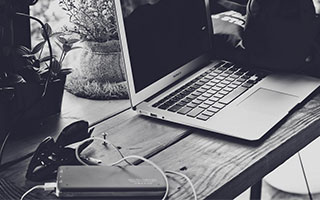 南金东箭是什么生肖