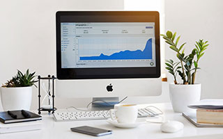 无影无踪之谜，揭秘生肖中的隐身者