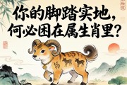 你的脚踏实地，何必困在属相里？